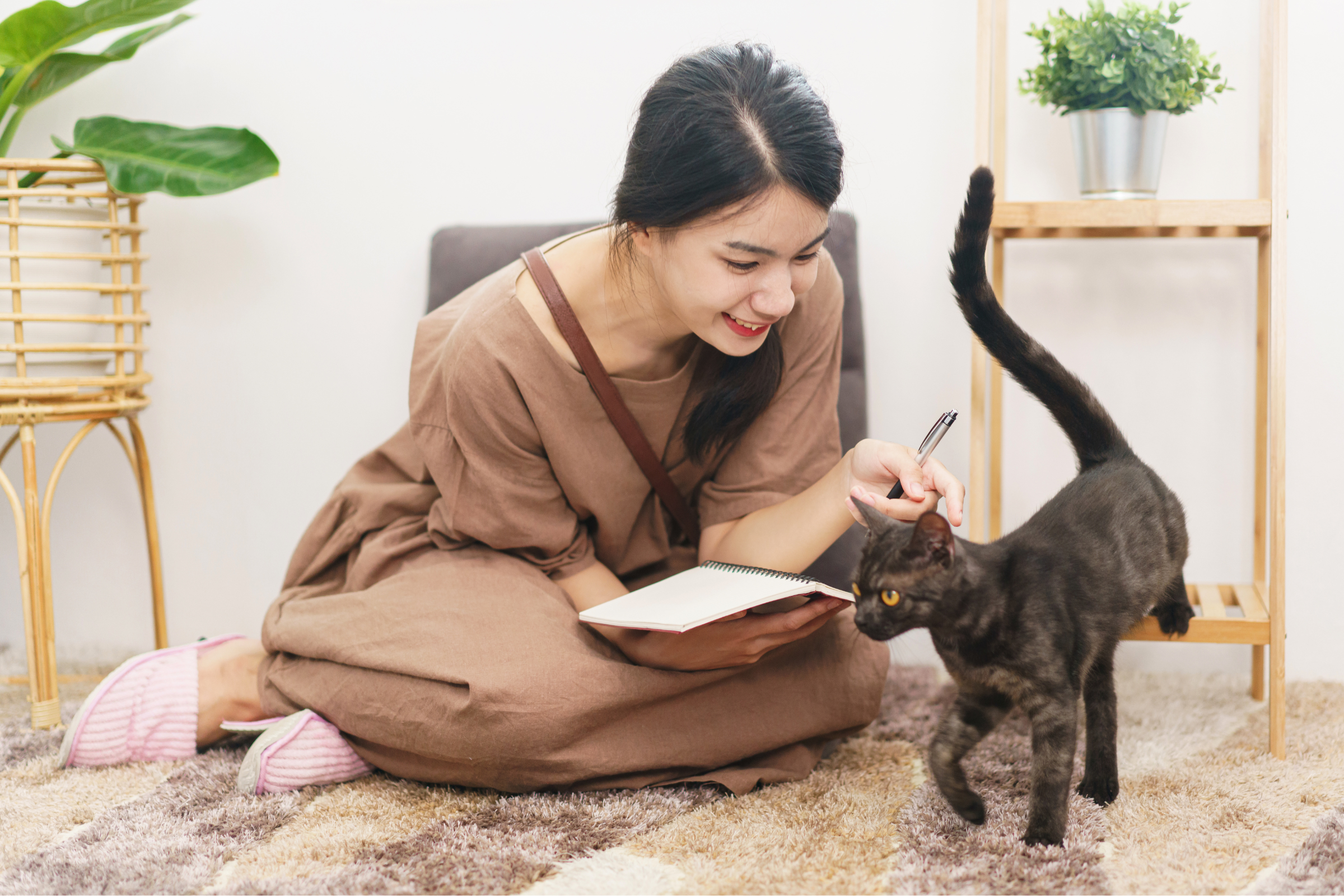 Cat playing with its owner on the floor | Best Automatic Cat Feeder | Aqara